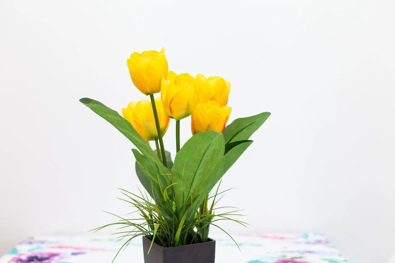 科拉雷侯Piso Valeria公寓 科拉雷侯